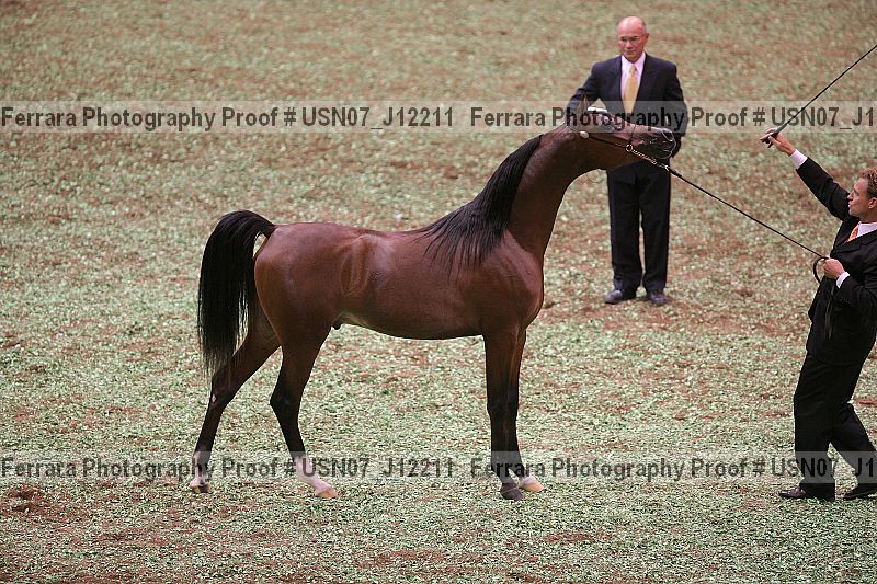 Proof Number usn07_j12211