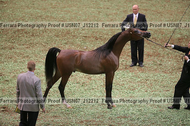Proof Number usn07_j12212