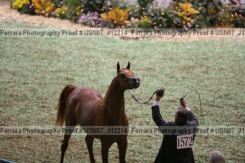 Proof Number usn07_j12214