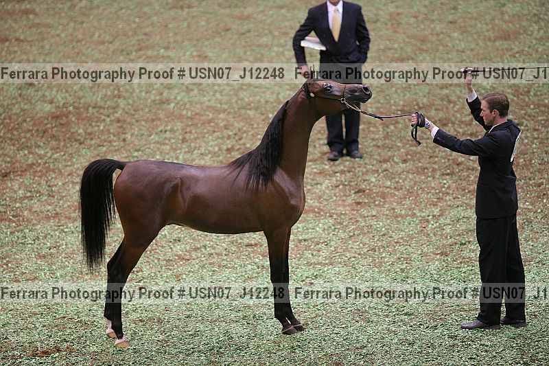 Proof Number usn07_j12248