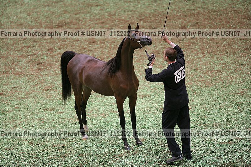 Proof Number usn07_j12252