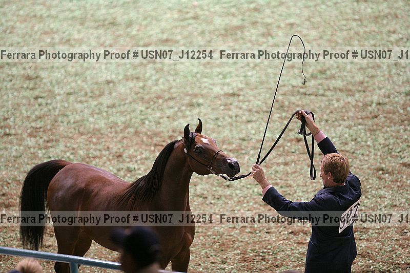 Proof Number usn07_j12254