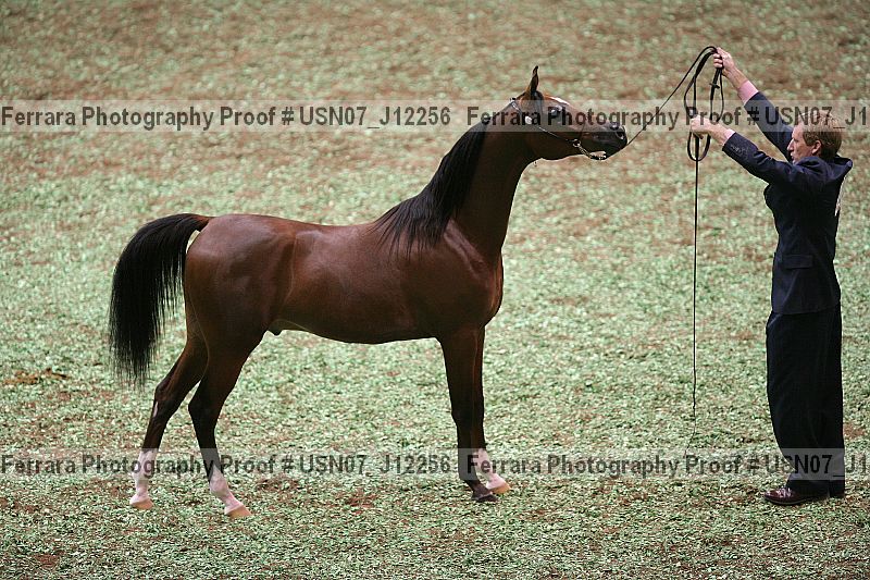 Proof Number usn07_j12256