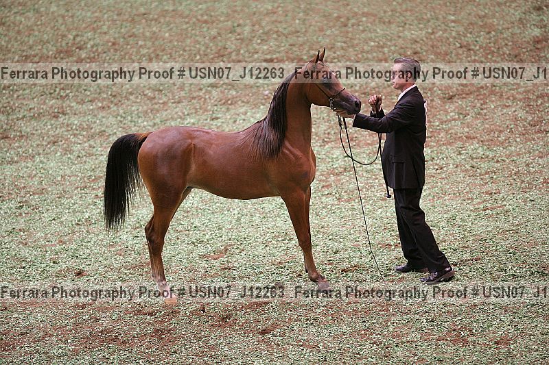 Proof Number usn07_j12263