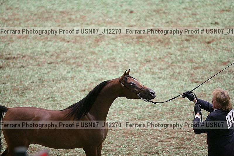 Proof Number usn07_j12270
