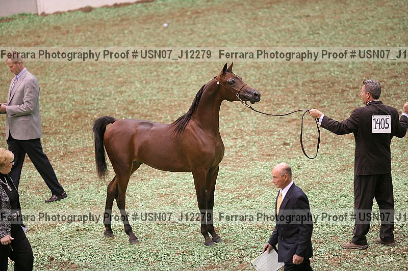 Proof Number usn07_j12279
