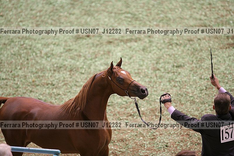 Proof Number usn07_j12282