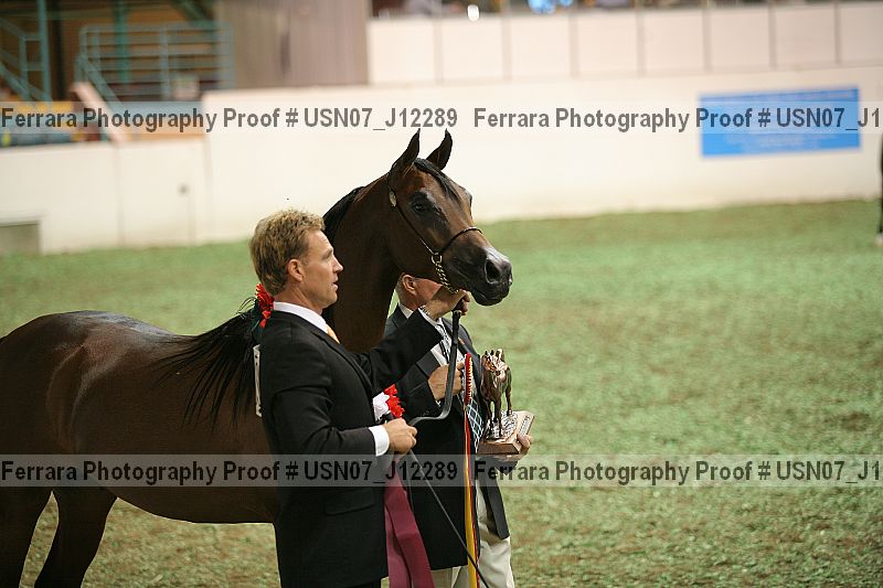 Proof Number usn07_j12289