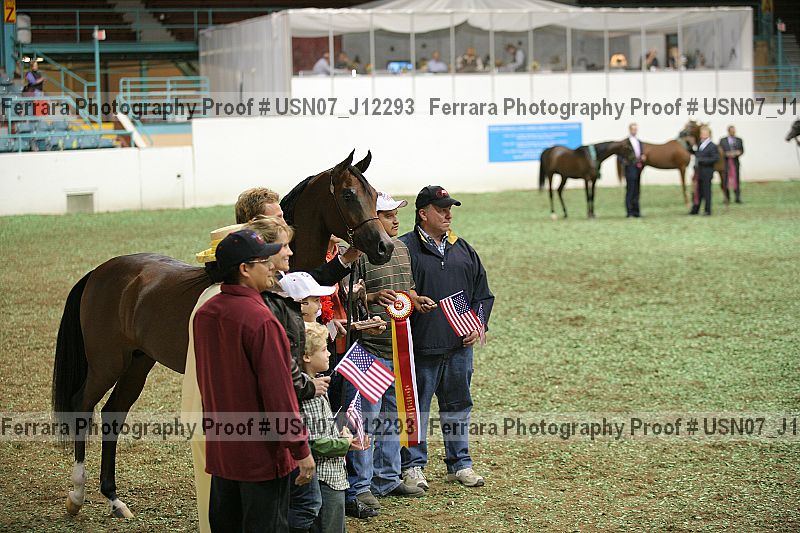 Proof Number usn07_j12293
