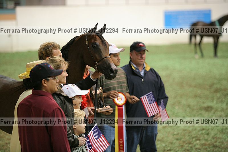 Proof Number usn07_j12294