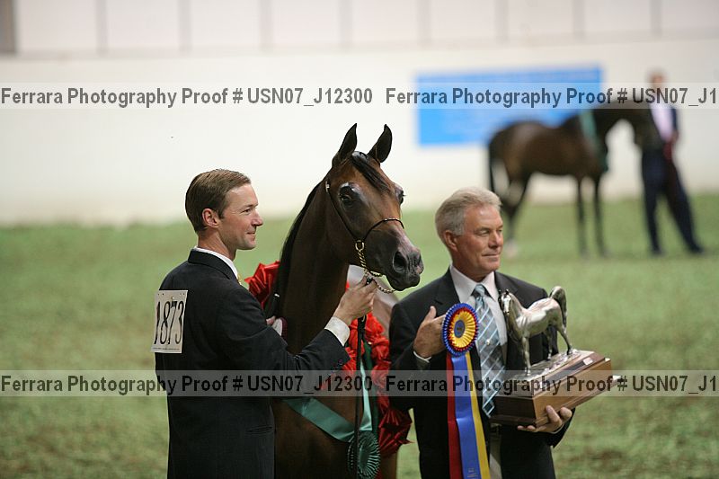Proof Number usn07_j12300