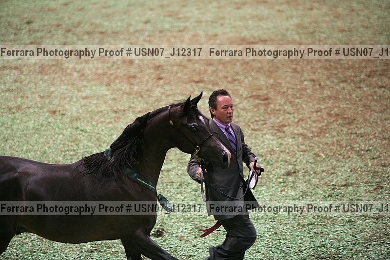 Proof Number usn07_j12317