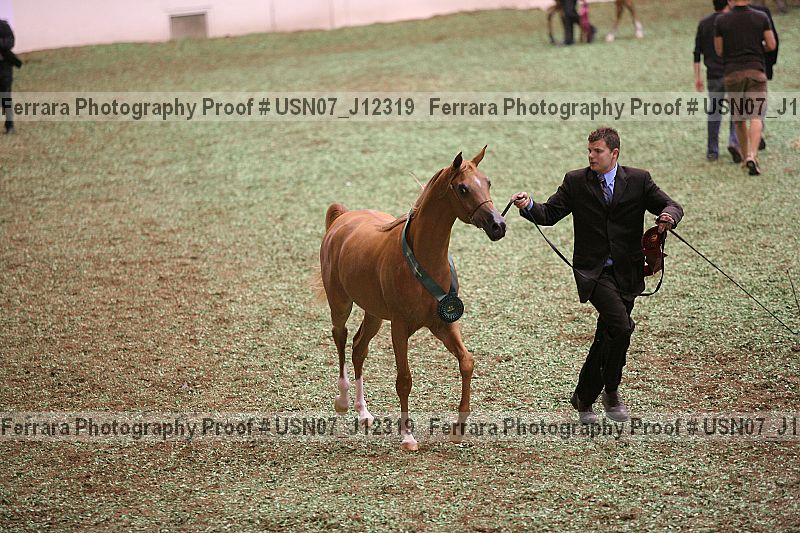 Proof Number usn07_j12319