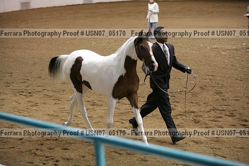 Proof Number usn07_05170