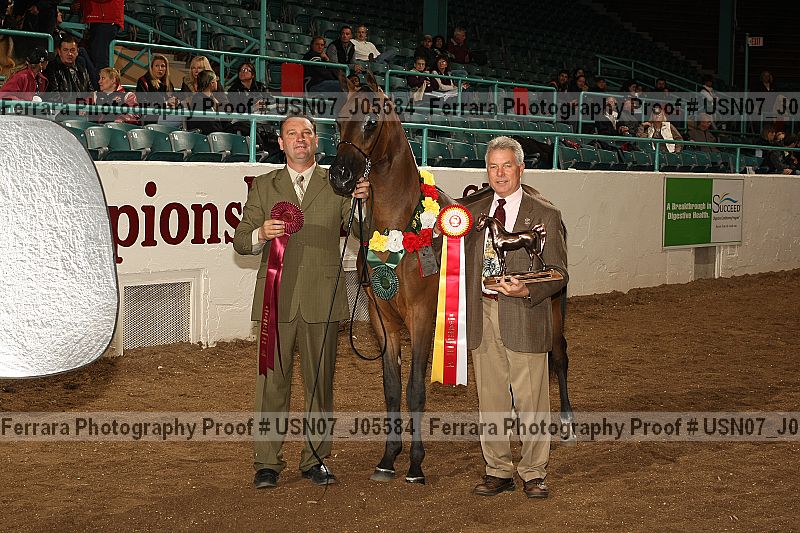 Proof Number usn07_j05584