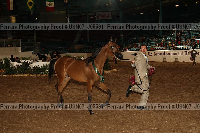 Proof Number usn07_j05591