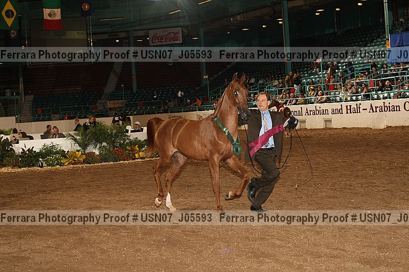 Proof Number usn07_j05593