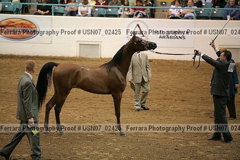 Proof Number usn07_02425