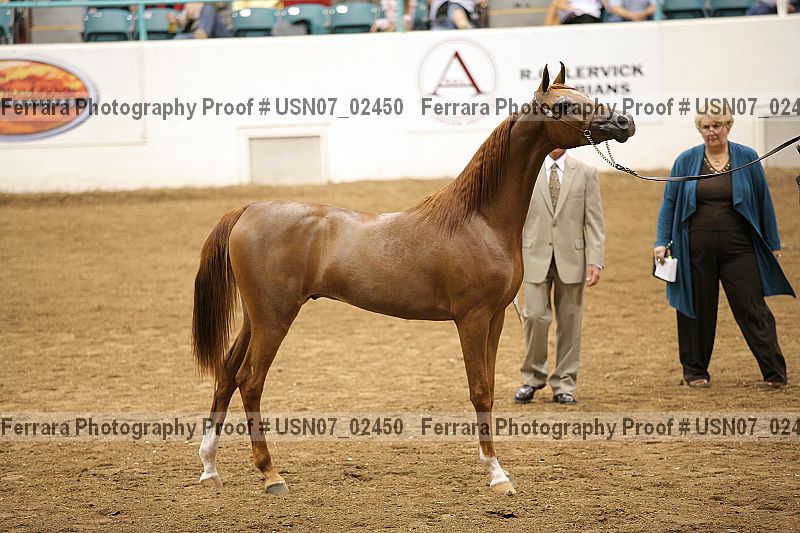 Proof Number usn07_02450