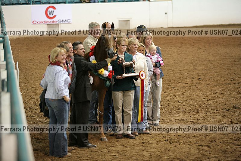 Proof Number usn07_02473