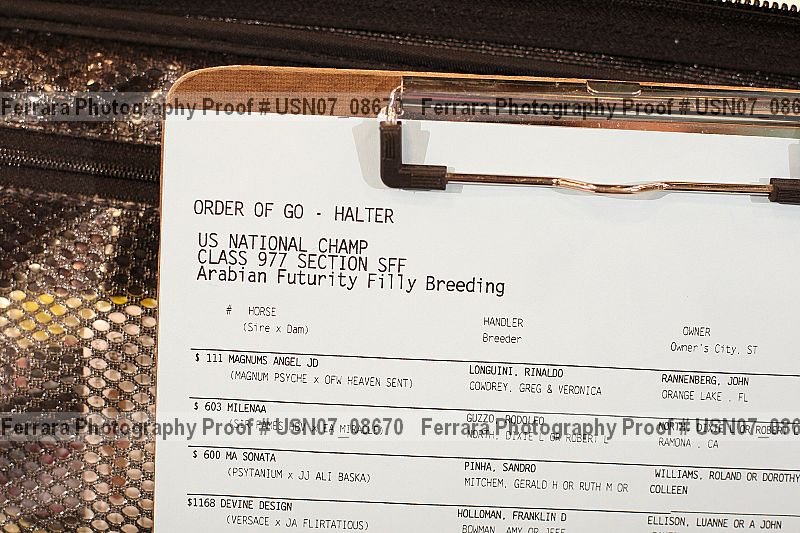 Proof Number usn07_08670