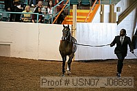 usn07_j08898 thumbnail