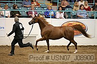 usn07_j08900 thumbnail