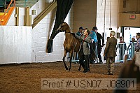 usn07_j08901 thumbnail