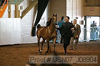usn07_j08904 thumbnail