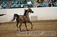 usn07_j08905 thumbnail