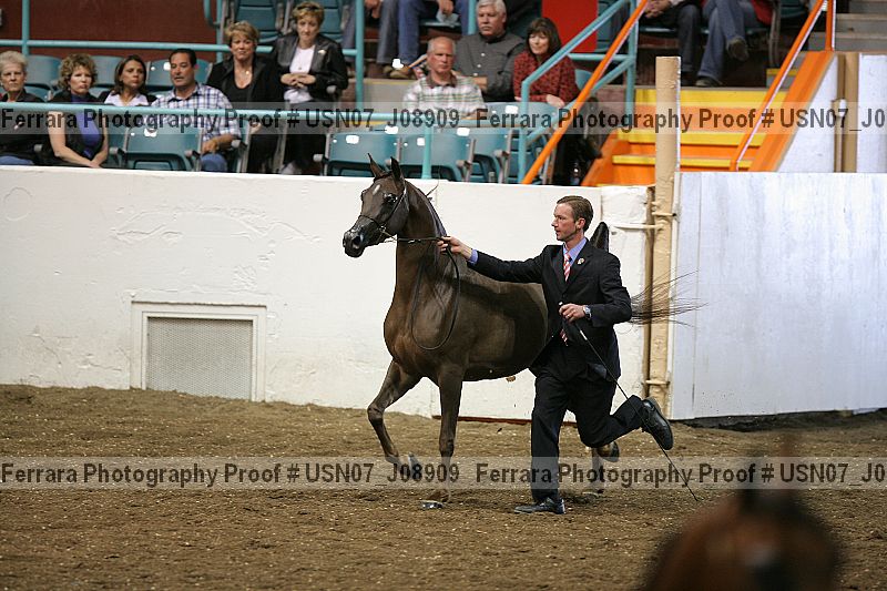 Proof Number usn07_j08909