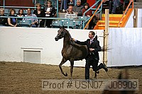 usn07_j08909 thumbnail