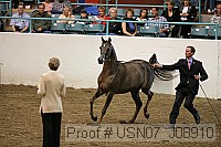 usn07_j08910 thumbnail
