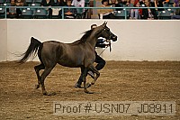 usn07_j08911 thumbnail
