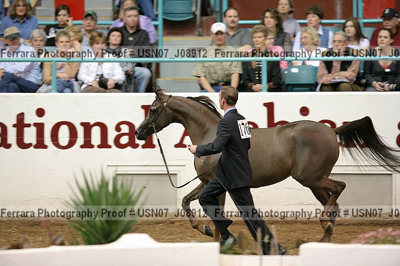 Proof Number usn07_j08912