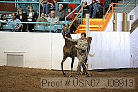usn07_j08913 thumbnail