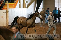 usn07_j08916 thumbnail