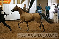 usn07_j08918 thumbnail