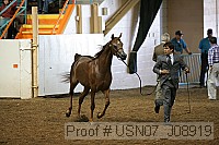 usn07_j08919 thumbnail