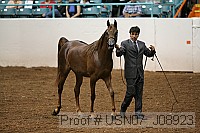 usn07_j08923 thumbnail
