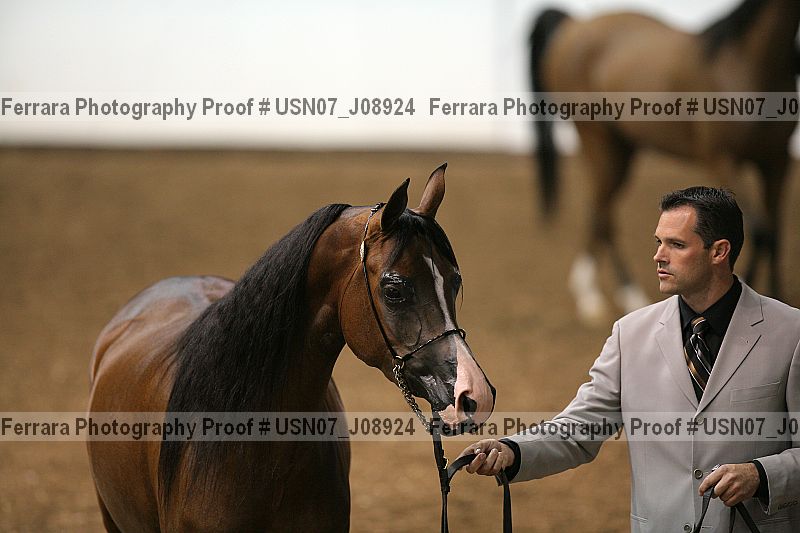 Proof Number usn07_j08924