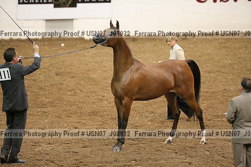 Proof Number usn07_j08932
