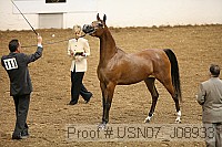 usn07_j08933 thumbnail