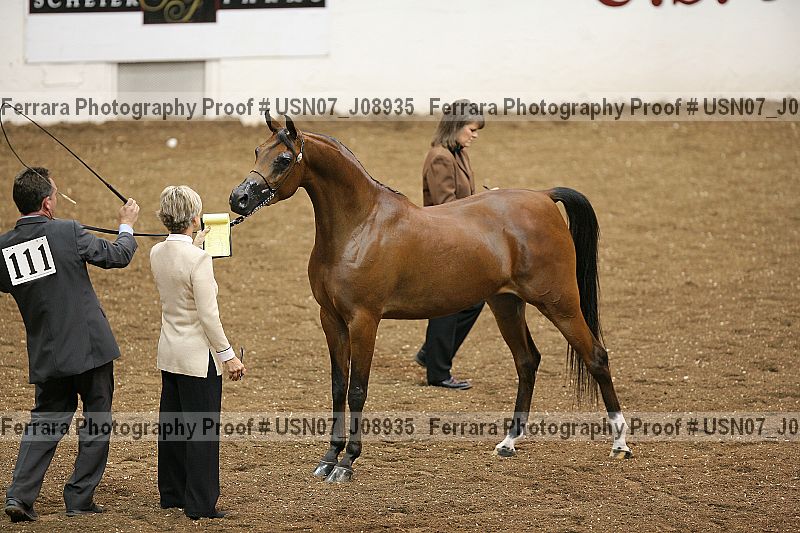 Proof Number usn07_j08935