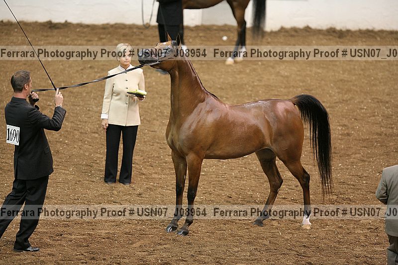 Proof Number usn07_j08954