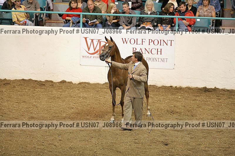 Proof Number usn07_j08966