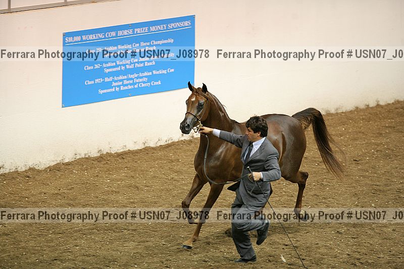 Proof Number usn07_j08978