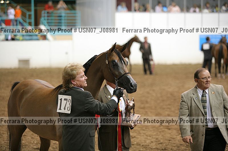 Proof Number usn07_j08981