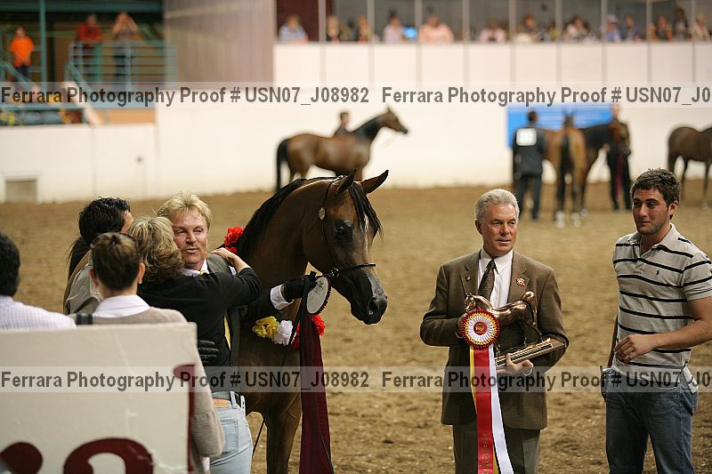 Proof Number usn07_j08982