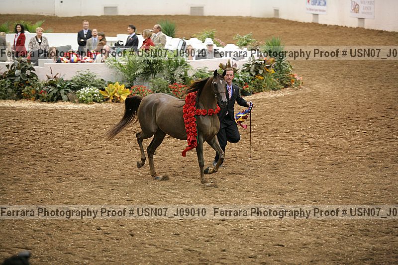 Proof Number usn07_j09010